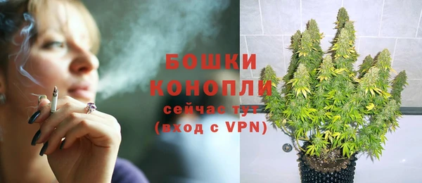 стаф Няндома