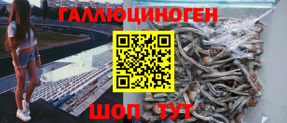 Псилоцибиновые грибы GOLDEN TEACHER  Вход с VPN  Тюмень 